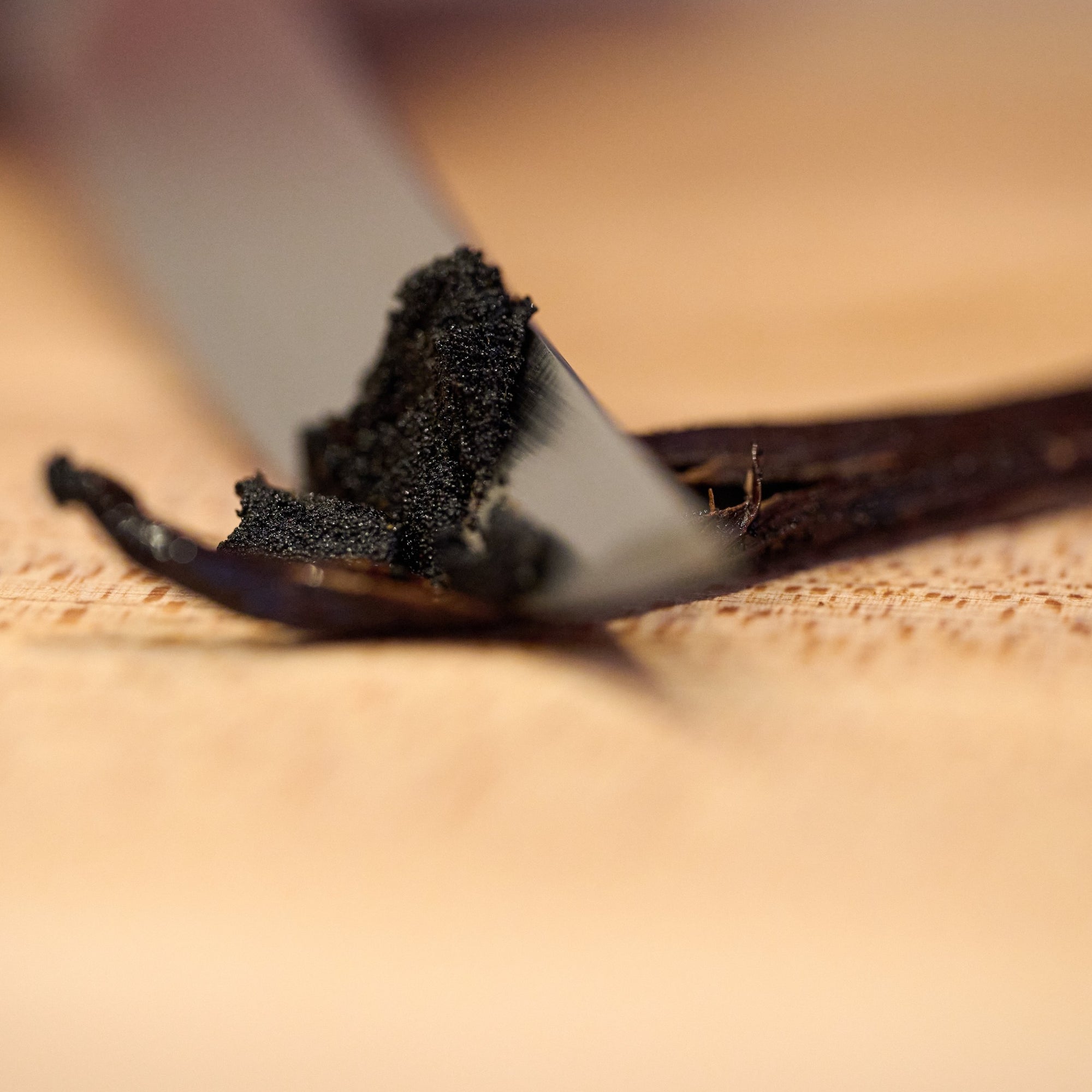 Scraping a Madagascar Vanilla Bean