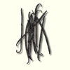 Organic Vanilla Beans from Madagascar
