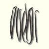 Madagascar Whole Vanilla Beans